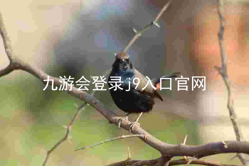 九游会登录j9入口官网